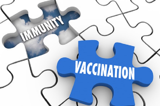 vaccination word on puzzle piece 665x443